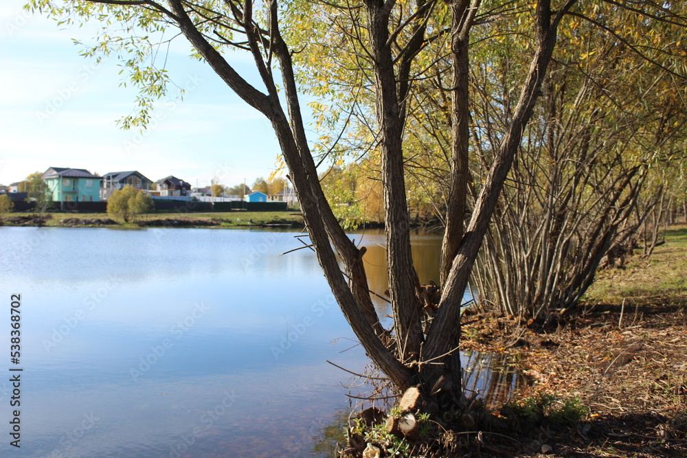 landscape beautiful lake in the forest in autumn landscape beautiful lake in the forest in autumn