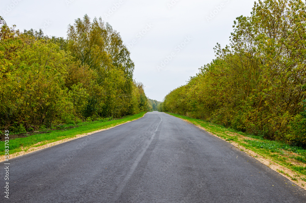 Autumn road goes into the distance. An empty road passes through the forest.