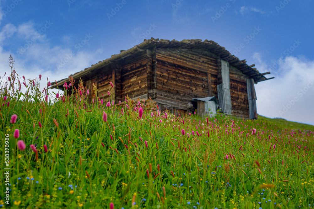 old house in the countryside, a house made of wood in flowers old house in the countryside, a house made of wood in flowers