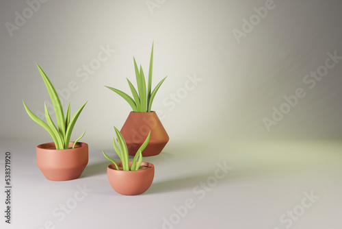 Green plants in clay pots. Horizontal banner with 3d render of aloe vera. Fresh juicy aloe vera in pots on a white background with space for text to create designs, posters and banners