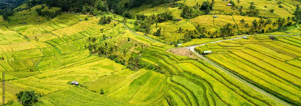 Rice fields on the mountain aerial panorama view