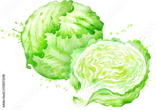 Watercolor illustration of whole and half iceberg lettuce