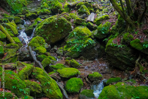 Rock Garden, okutama, mount mitake, Tokyo, Japan © U3photos