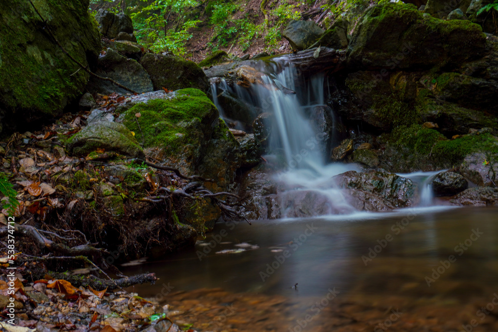 Fototapeta premium Rock Garden, okutama, mount mitake, Tokyo, Japan