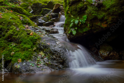 Rock Garden, okutama, mount mitake, Tokyo, Japan
