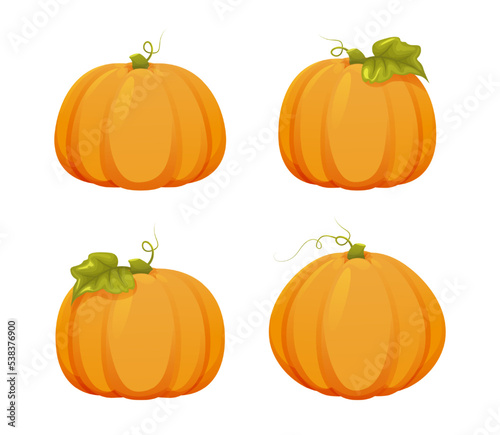 set of yellow large pumpkins