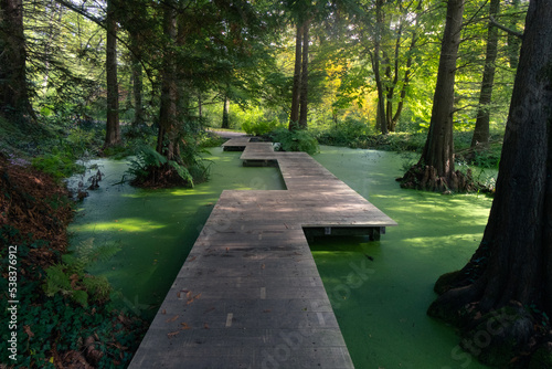 naturpfad im botanischen garten bochum