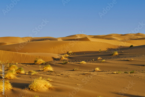 Fototapeta Naklejka Na Ścianę i Meble -  sand dunes in the desert, iran Maranjab Desert 