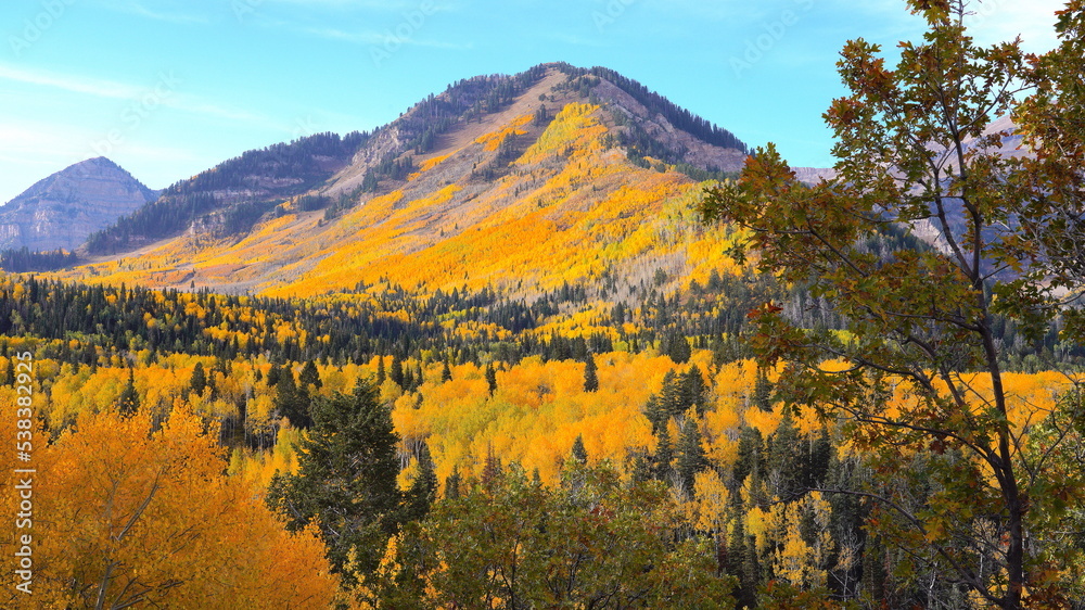 Autumn foliage in Utah on the Timpanogos Highway and Alpine Loop in October. 