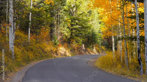 Autumn foliage in Utah on the Timpanogos Highway and Alpine Loop in October. 