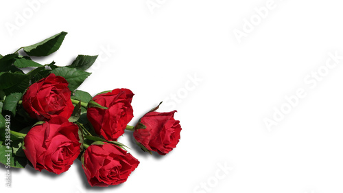 Fototapeta Naklejka Na Ścianę i Meble -  beautiful valentine red roses bouquet present isolated png