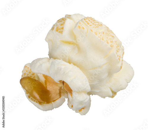 Single popcorn seed, macro shot isolated on transparent background as png clipart