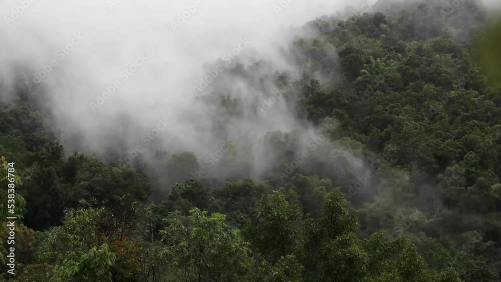 Fog in the morning forest with green mountains at Huai Kub Kab, Mae Taeng, Chiang Mai, Thailand. Timelapse Fog in the morning forest with green mountains at Huai Kub Kab, Mae Taeng, Chiang Mai, Thailand. Timelapse