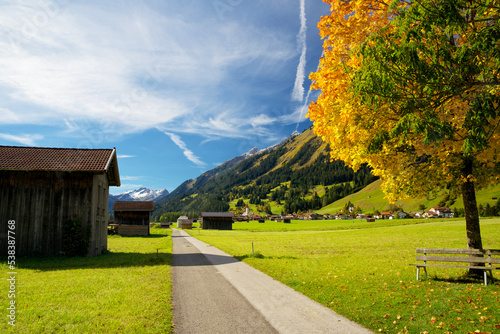 Yellow-colored deciduous tree with weathered wooden huts in an austrian mountain landscape during the indian summer photo