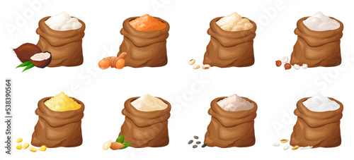 Flour in wooden bowl. Set of gluten free powder in organic product. Healthy organic food. Vector illustration isolated on white background