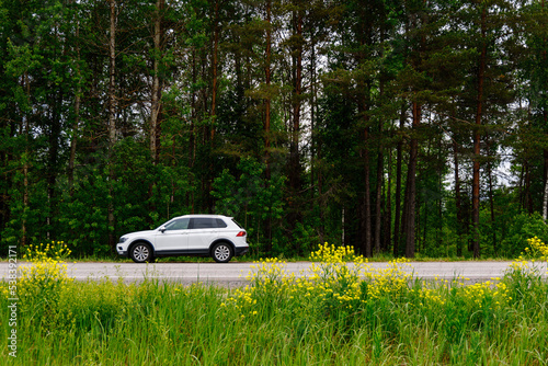 White car stands on the side of the road against the background of green trees