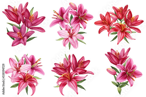 Lilies set, pink flowers on isolated white background, watercolor illustration, greeting card
