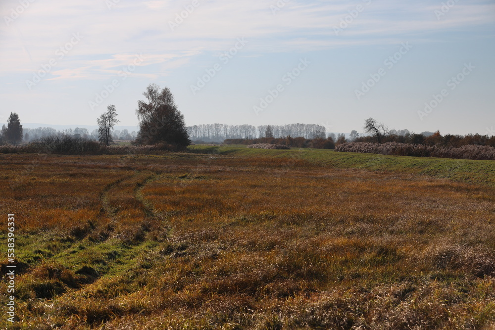 Rezerwat Beka 10 Rezerwat Beka 10
