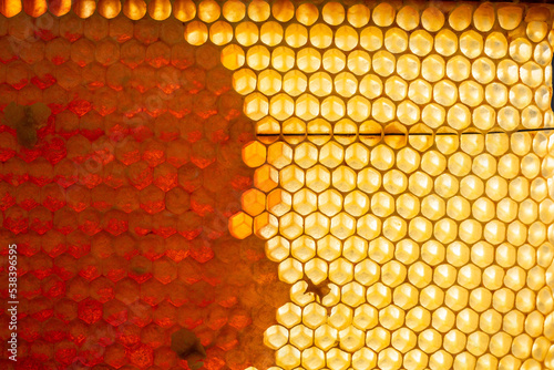Honeycomb with sweet golden honey. Healthy eating. Beekeeping concept. bee products by organic natural ingredients concept