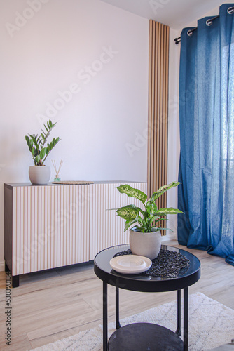 Obraz na płótnie makro, wazon, nieruchomość, mieszkanie, dom, pokój, dekoracje, home, home staging, ceramika, terazzo, obrus, stół, sofa, kanapa, meble, kwiat, doniczka, lamele, drewno, liść, ziemia, łazienka, w salonie