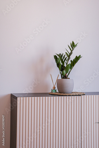 Obraz na płótnie makro, wazon, nieruchomość, mieszkanie, dom, pokój, dekoracje, home, home staging, ceramika, terazzo, obrus, stół, sofa, kanapa, meble, kwiat, doniczka, lamele, drewno, liść, ziemia, łazienka, w salonie
