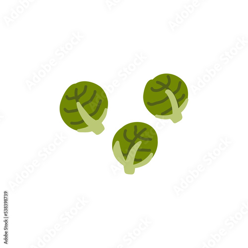 Brussel sprouts. Green vegetables. Vector hand drawn healthy food illustration.