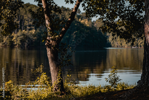 calm water of West Point Lake through trees in Georgia along bank