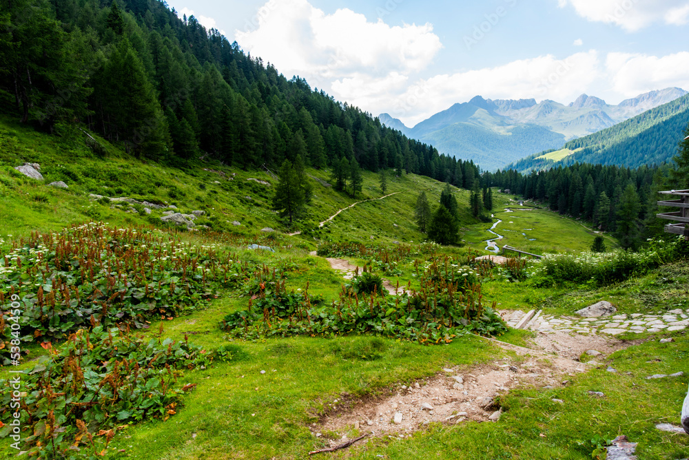 2022 07 02 ValCampelle alpine paradise 5 2022 07 02 ValCampelle alpine paradise 5