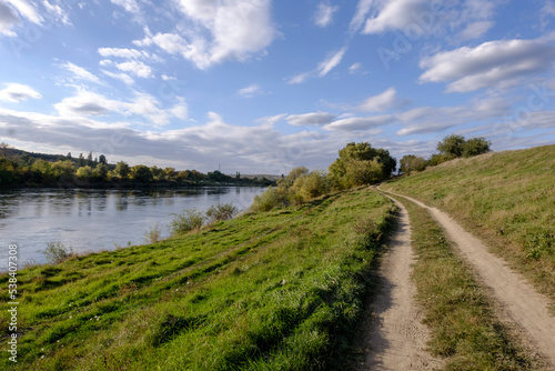 forest path of the river landscape