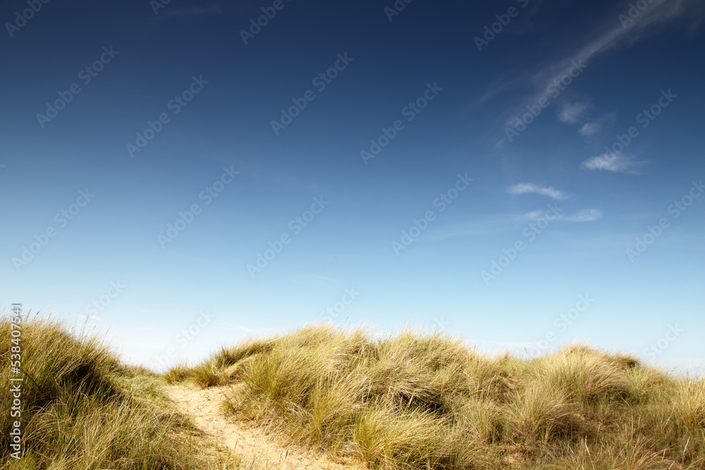 sand dunes pathways