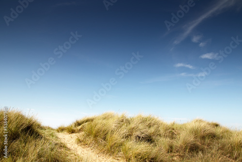 Obraz na płótnie sand dunes pathways w salonie