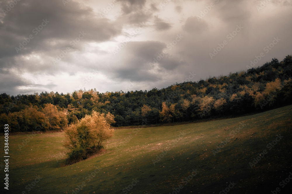 Fototapeta premium Woods and fields in autumn. 