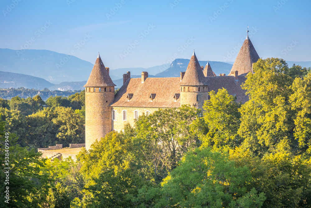 Chateau de Virieu