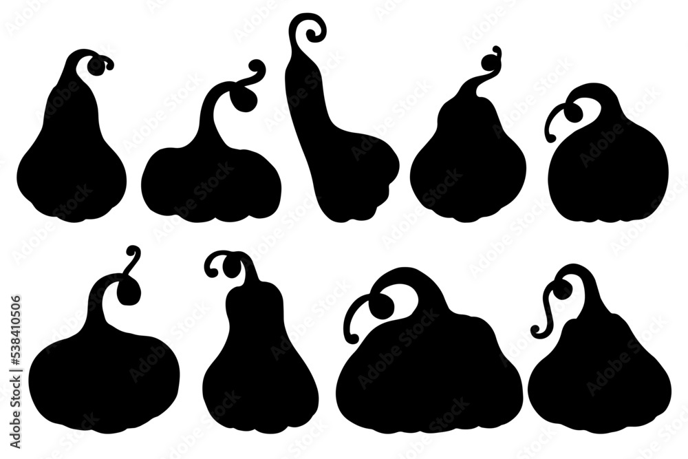 Set of silhouettes of various pumpkins, zucchini.Vector graphics. Set of silhouettes of various pumpkins, zucchini.Vector graphics.