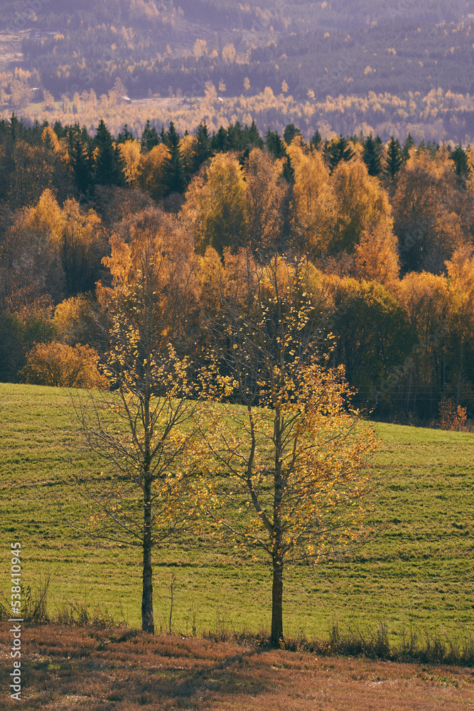 Images from the cultural landscape of Toten, Norway, a sunny day in late autumn.
