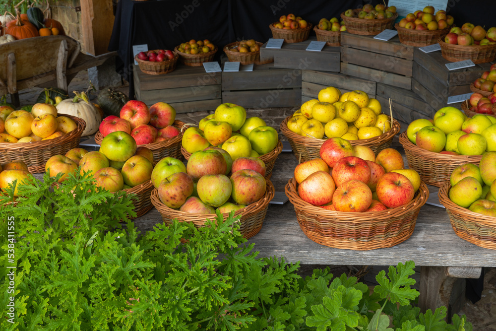 Autumn apple harvest on display in wicker baskets