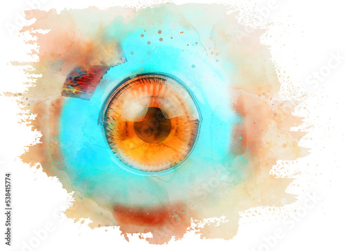 Watercolor clipart of an anatomical model of the human eye on transparent background