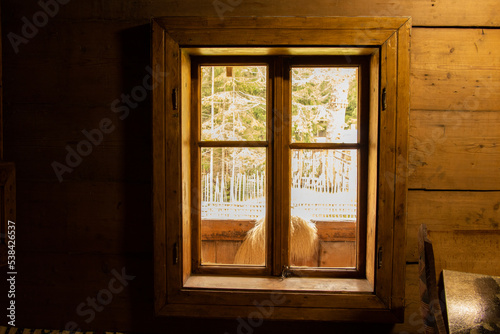 Wooden old house with windows in Ukraine, the window