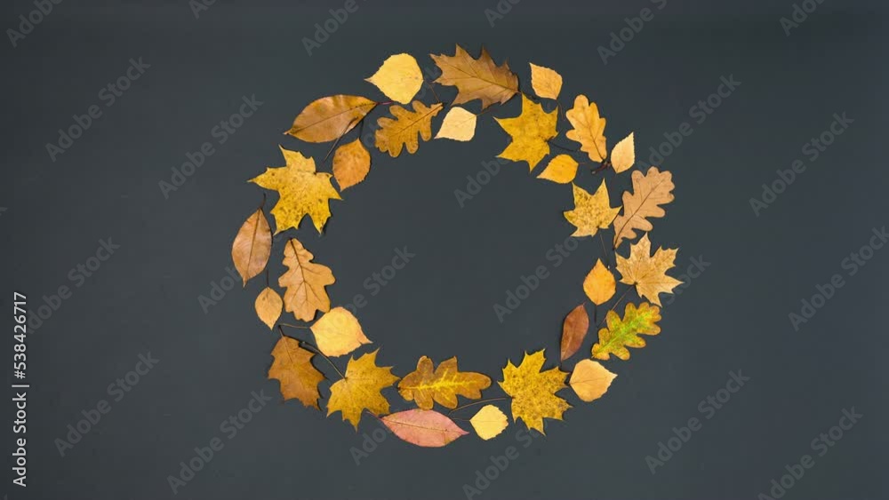 4k The brush draws a round frame of beautiful autumn yellow and brown maple, oak and birch leaves. Black background. Greeting card. Stop motion animation. Flat lay. Copy space.