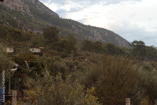 White houses among the trees at the foot of the mountain.