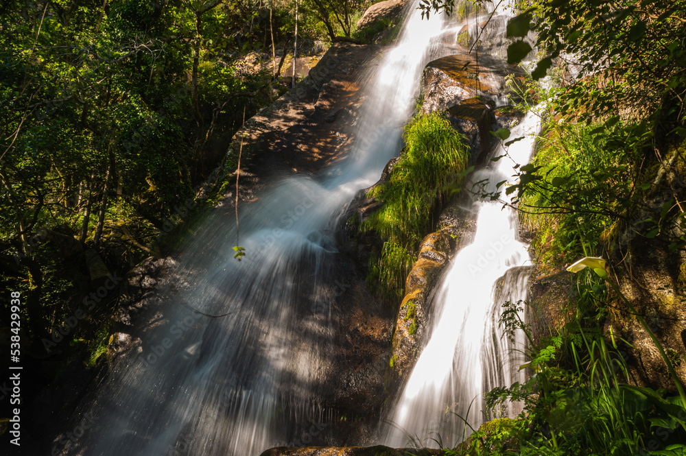 Obraz premium Beautiful water stream in Filveda waterfall, Sever do Vouga, Portugal. Long exposure smooth effect. Idyllic green scenery, mountain forest landscape.
