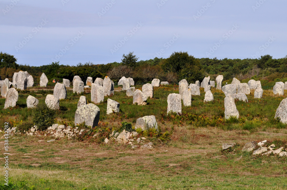 Alignements de pierres de Carnac