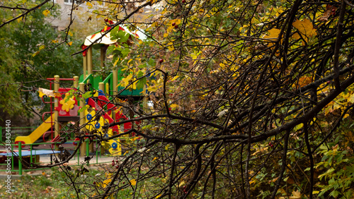 autumn tree and playground in the background