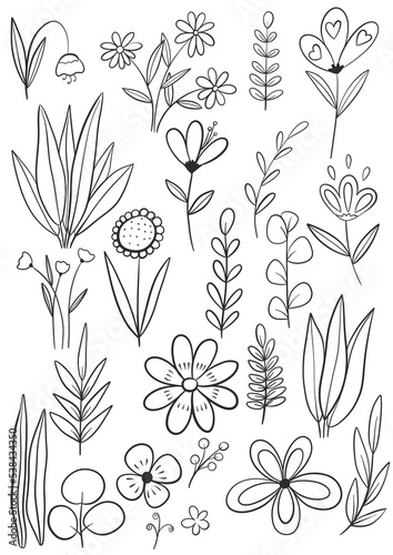 A set doodle of painted plants, leaves, flowers on a white background.