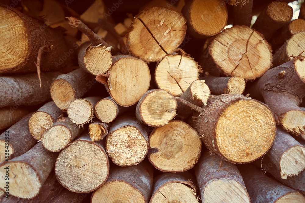 Firewood for heating, rural wooden background.