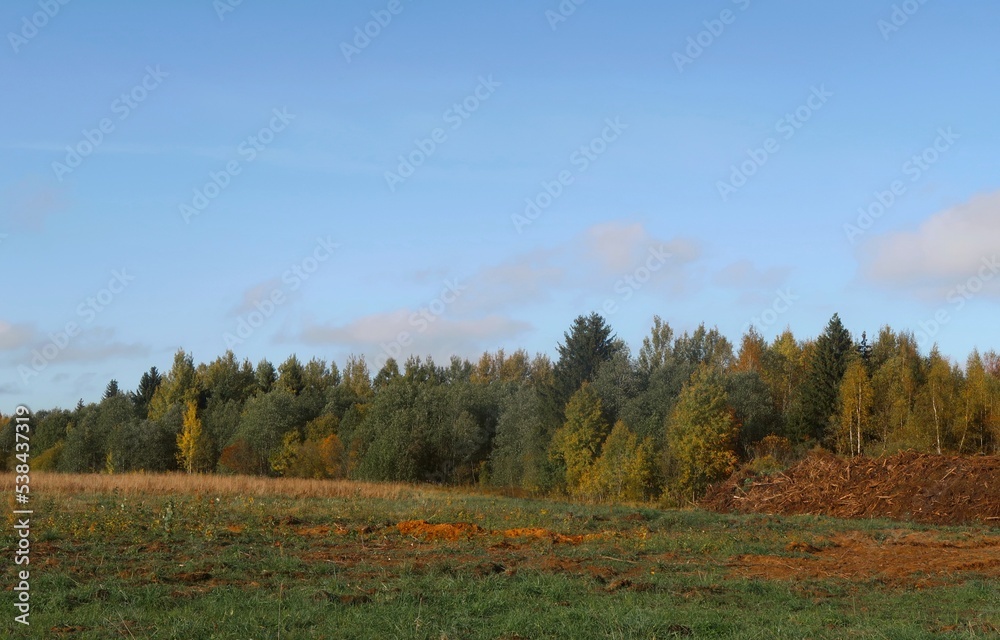 Fototapeta premium autumn in the mountains