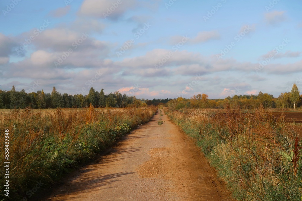 country road in autumn