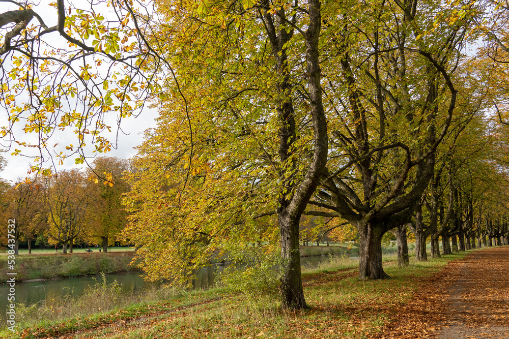 Herbst am Decksteiner Weiher, Köln Herbst am Decksteiner Weiher, Köln