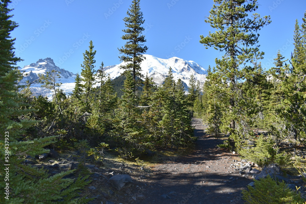 Obraz premium Nature