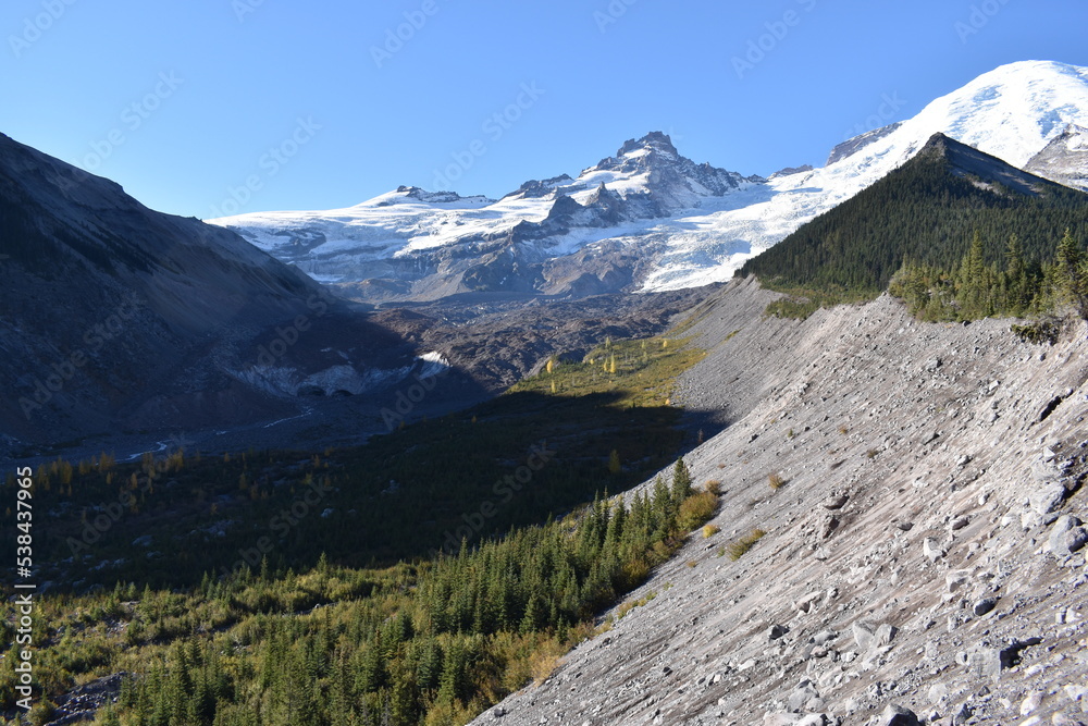 Fototapeta premium Nature